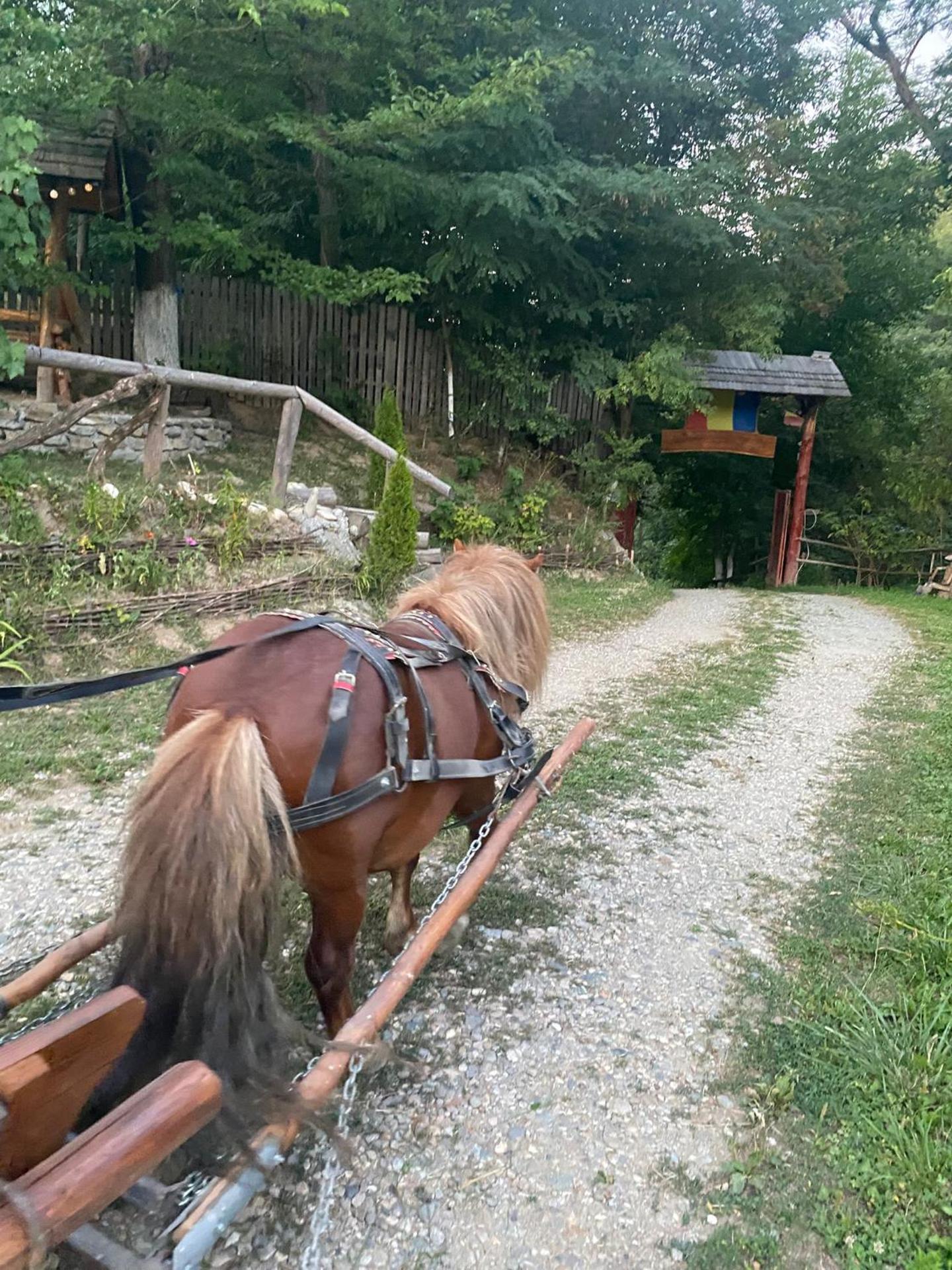 Casa Bunicilor Traditionala