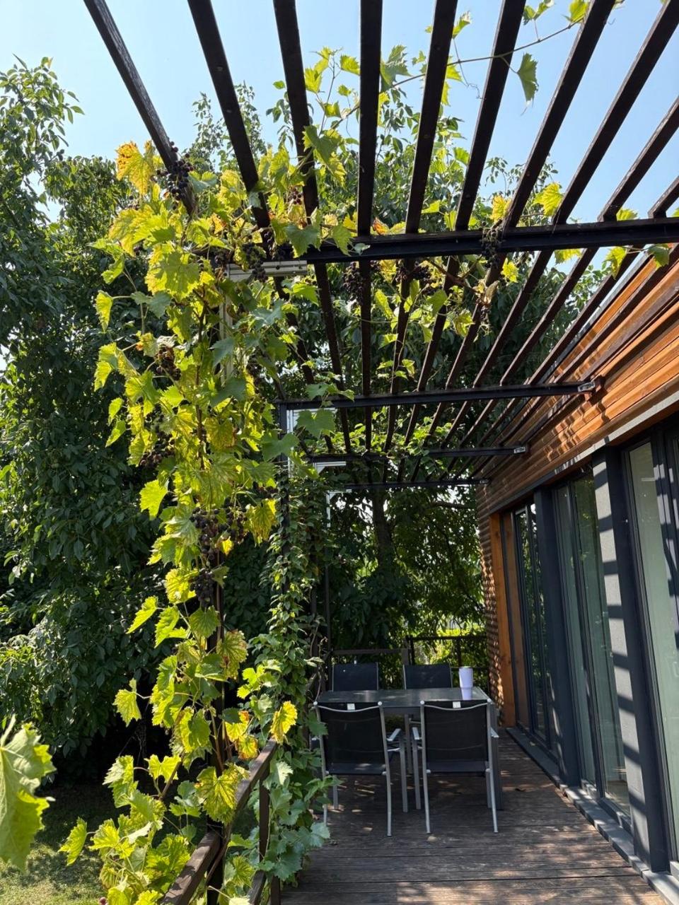 Tinyhaus Arendsee in Seenähe