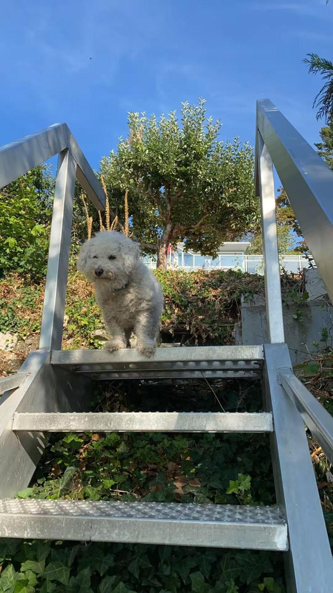 Stunning oceanfront home 4br3b sunrise beachcombing near Bamberton Park