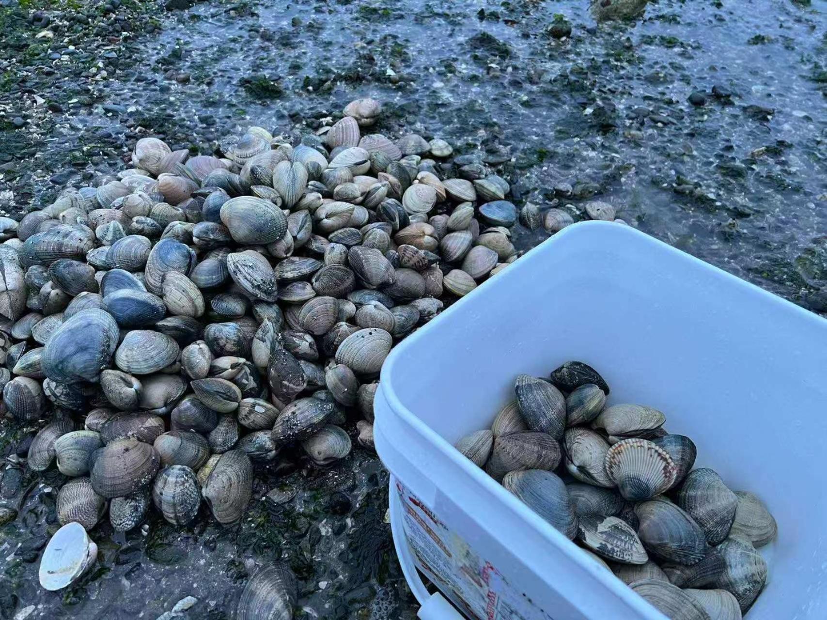 Stunning oceanfront home 4br3b sunrise beachcombing near Bamberton Park