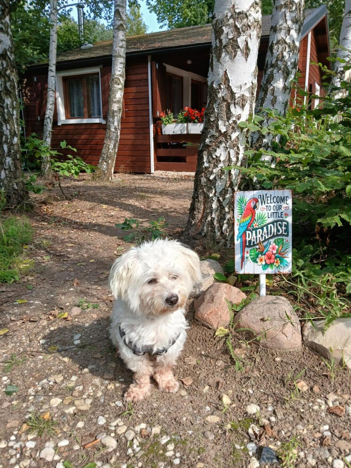 Domek nad jeziorem Strykowskim