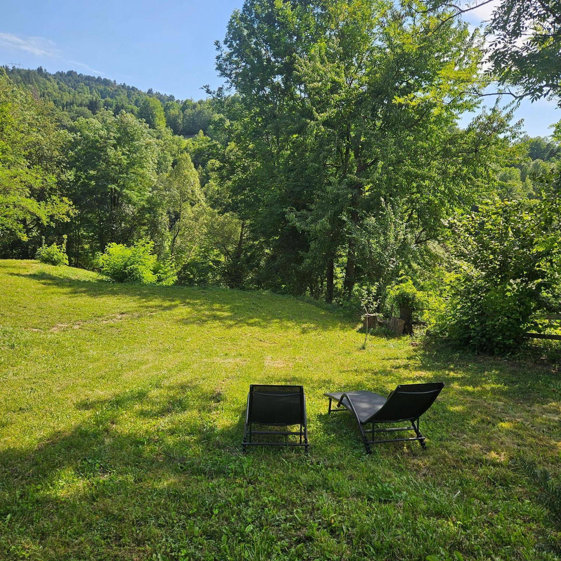 Forest House Doftana