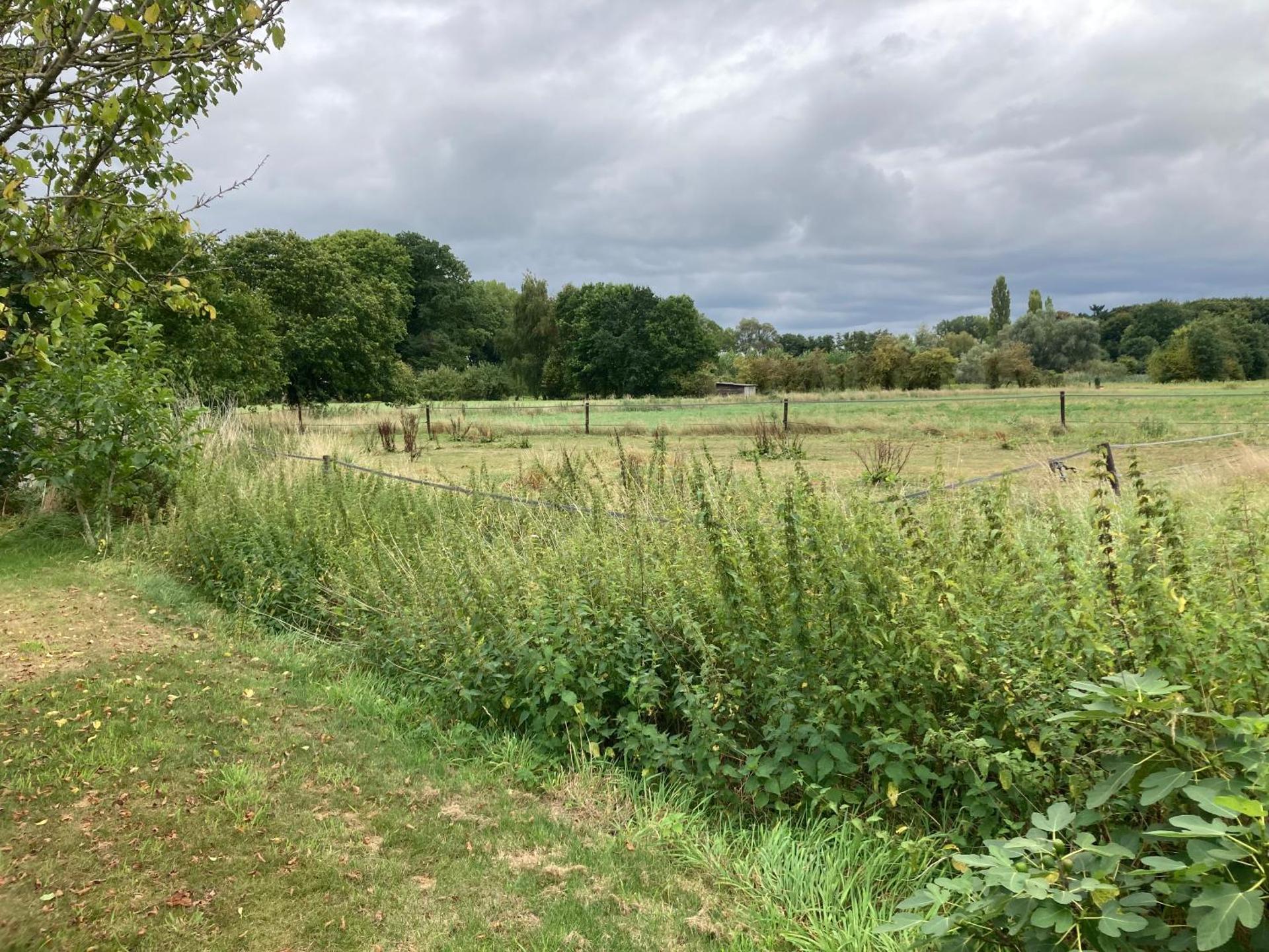Romantische Bedstay de Volle Hand