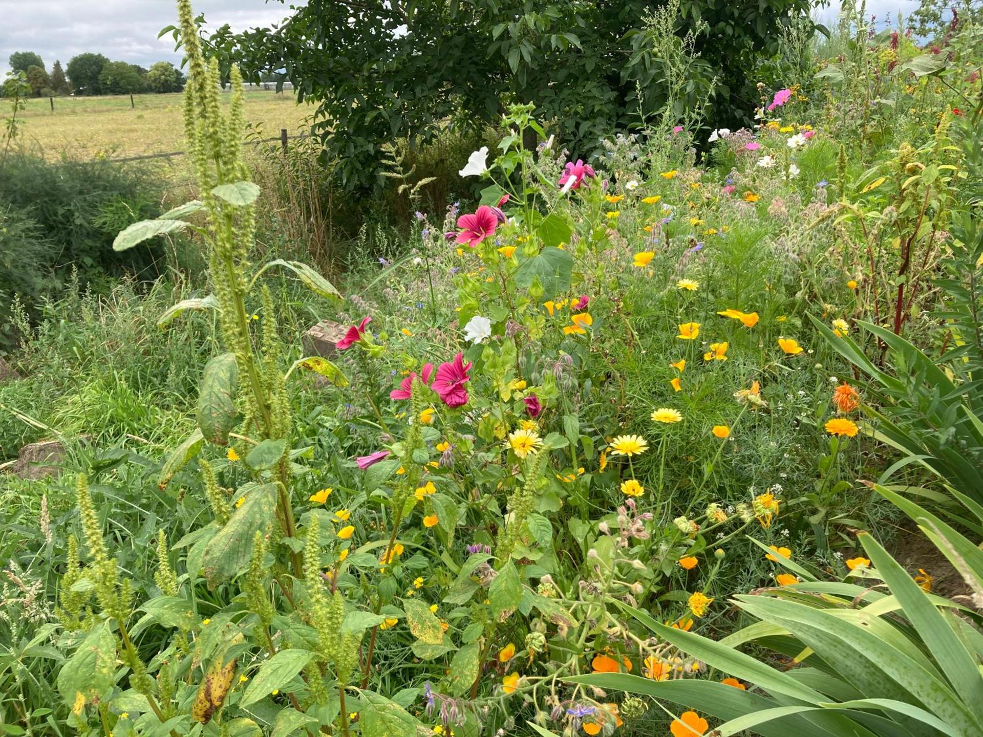 Romantische Bedstay de Volle Hand