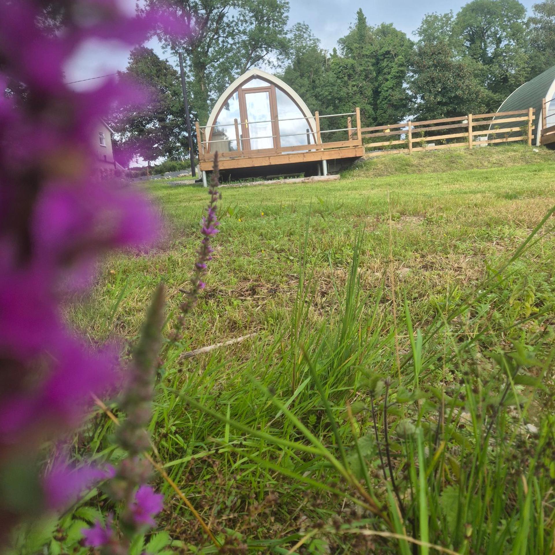 Swan Lake Glamping