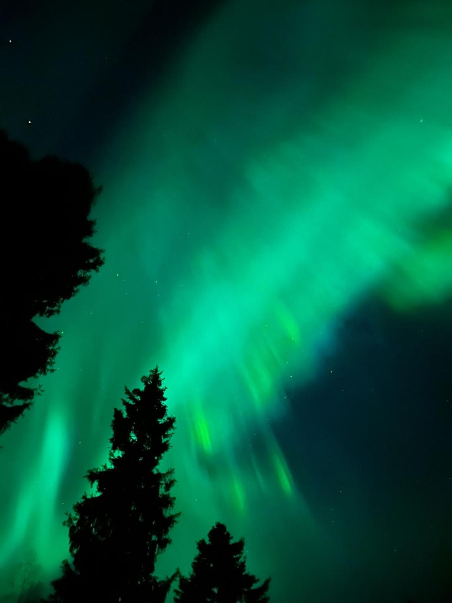 Simojärvi Lake House - 1h 20m from Rovaniemi City - Omakotitalo Simojärvellä