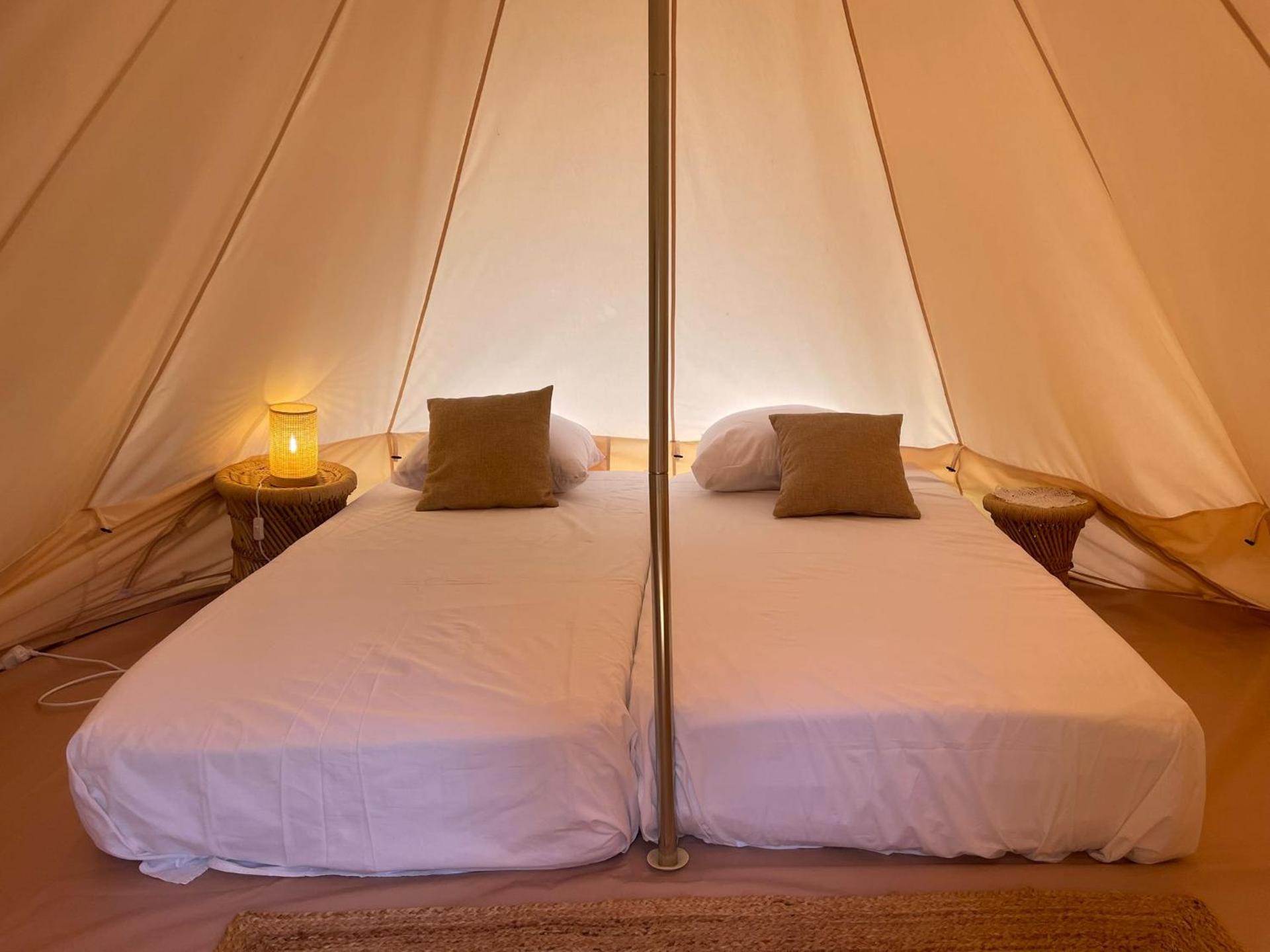 La calma entre naranjos