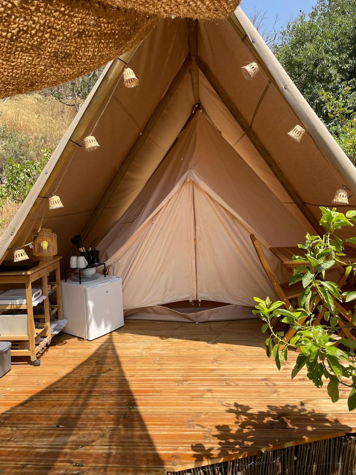 La calma entre naranjos