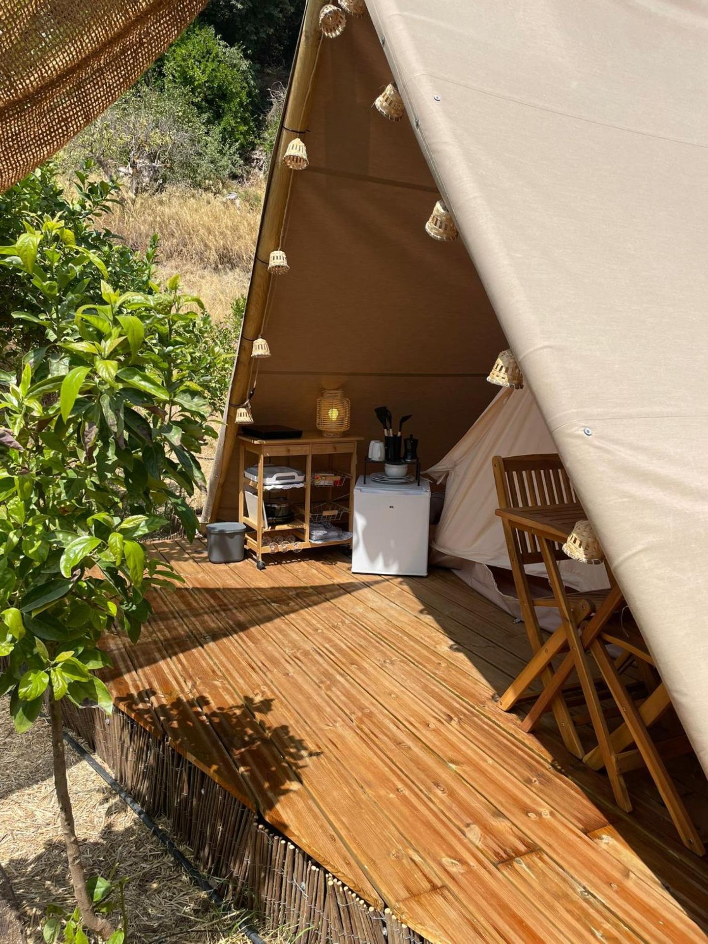 La calma entre naranjos