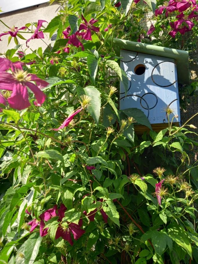 Gites & Cocon des Puys - Au cœur des Volcans d'Auvergne