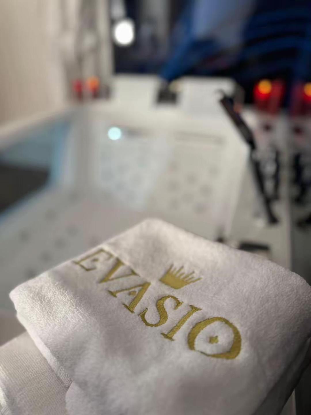 Suite EVASIO, au pied du château fort, parking privé