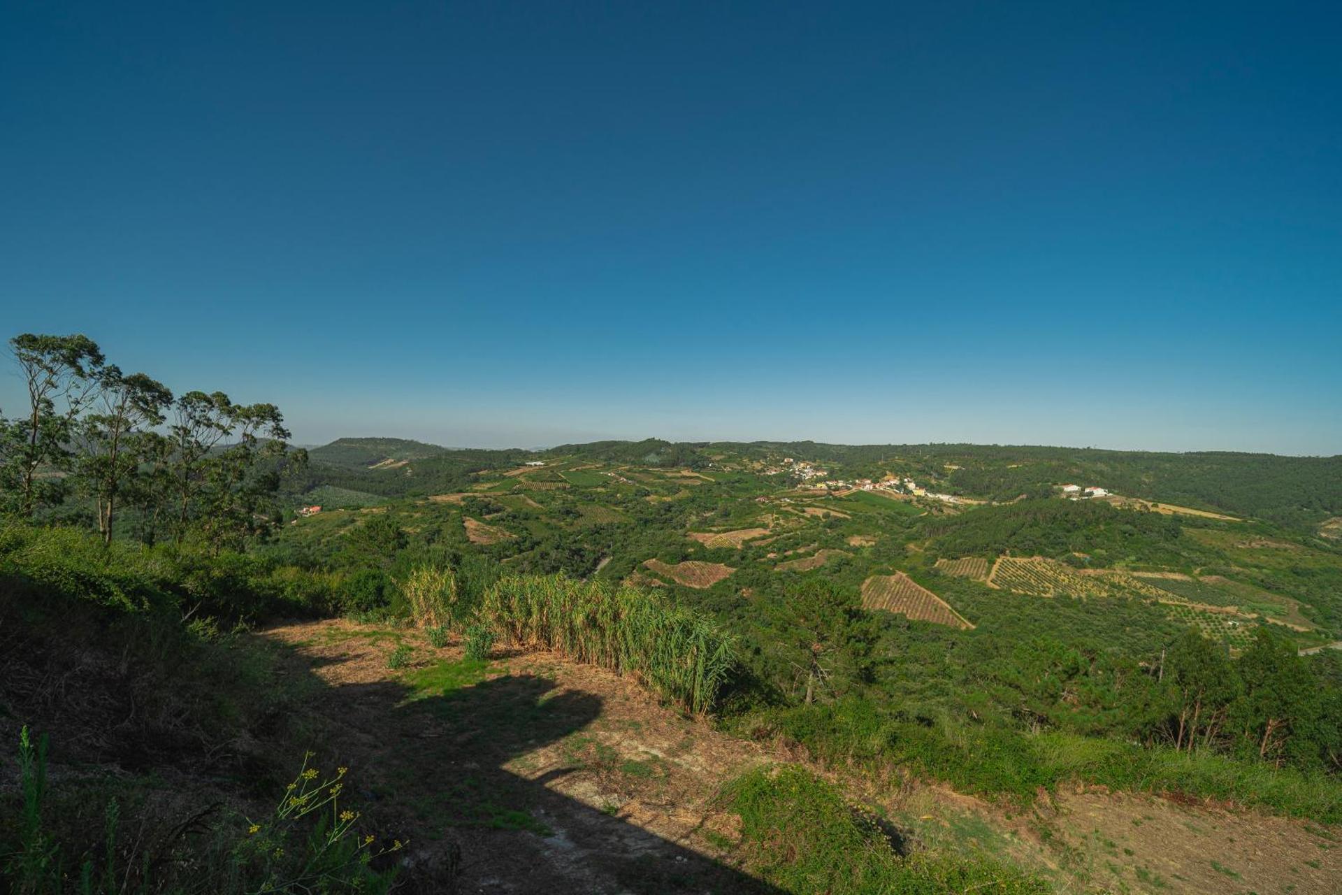 Casas da Tia Alice - Casas de campo encantadoras em Mafra