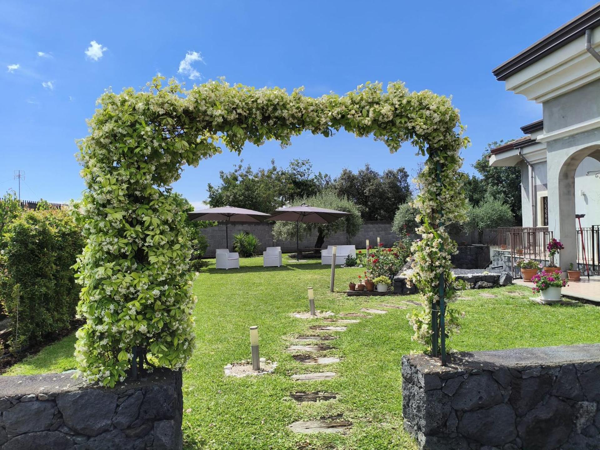 Beautiful Etna's view