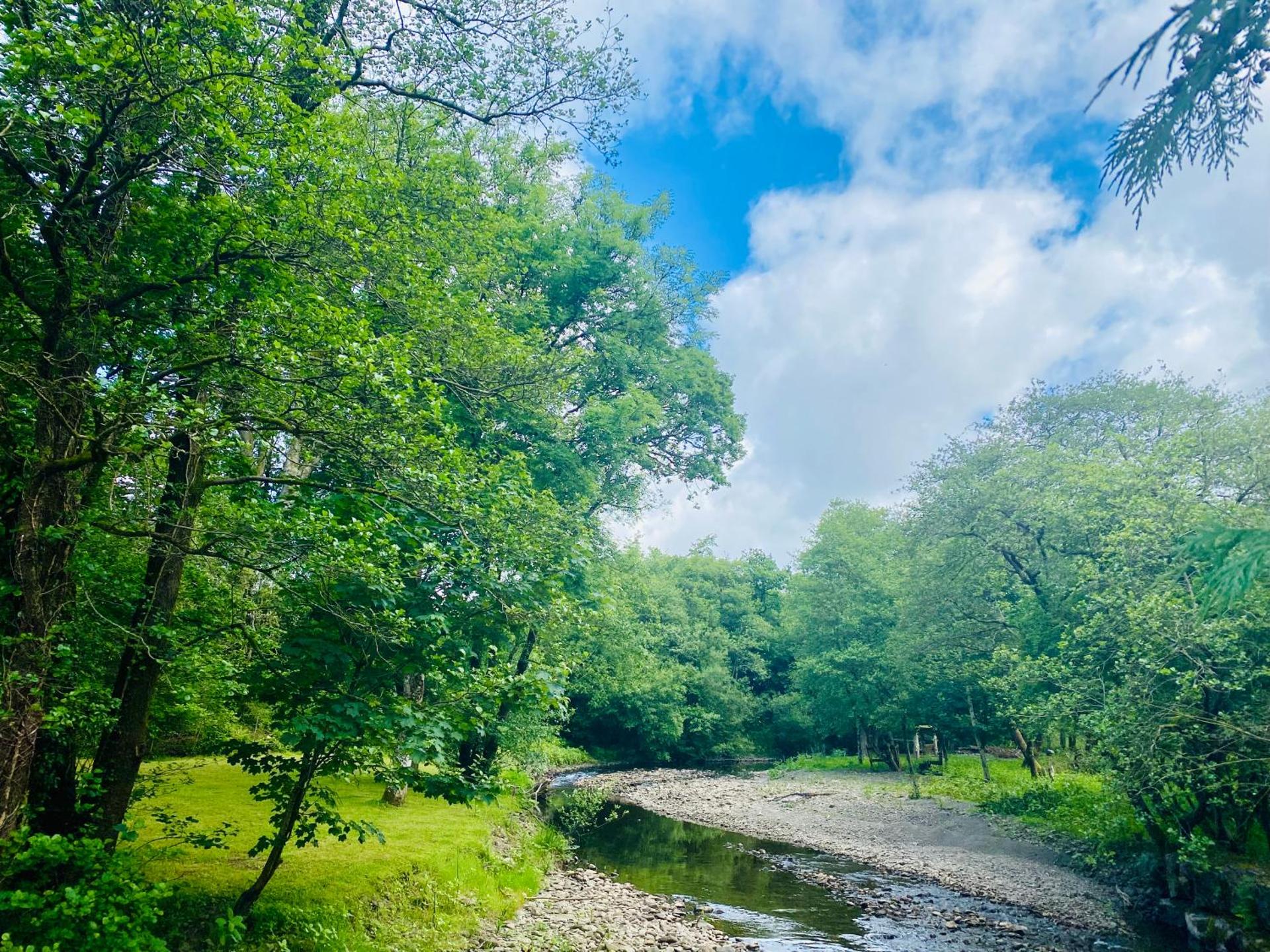 Daffodil House , West Wales