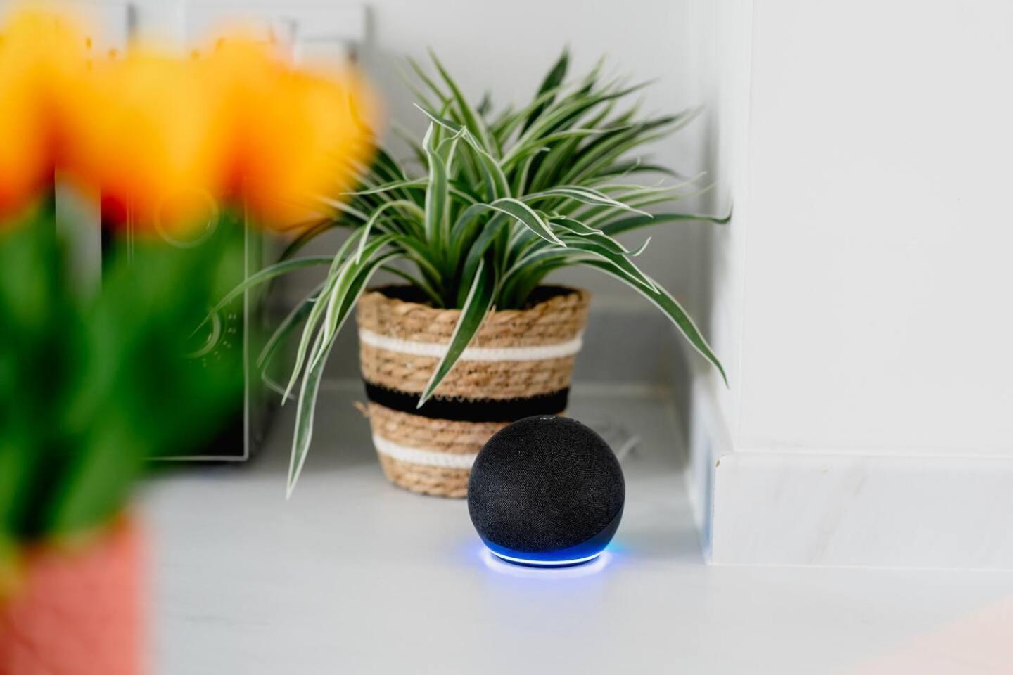 Sawley Cottage Above Rubies Canal, Cafes, Bars!