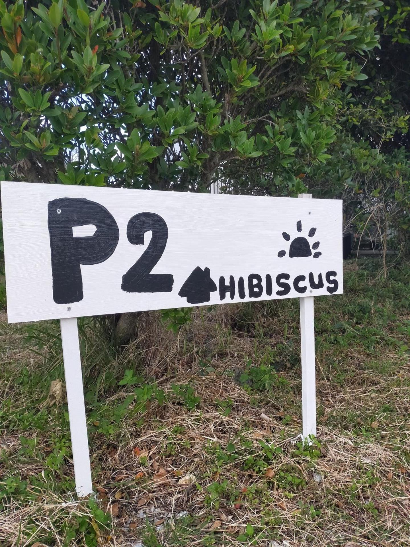 Pension Hibiscus - Vacation STAY 14929v