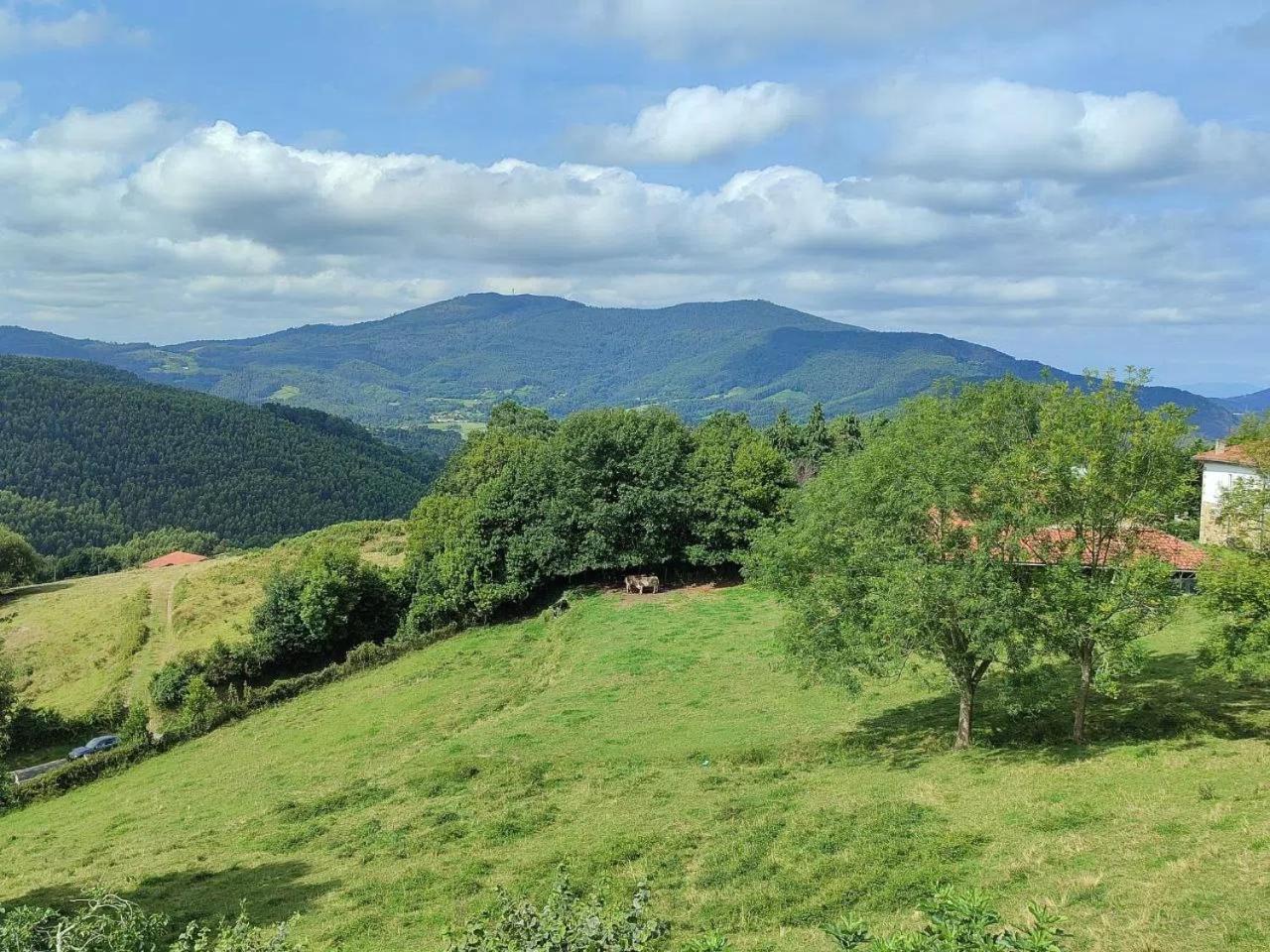 ELEXBURU LANDA Apartamentos Turisticos Rurales