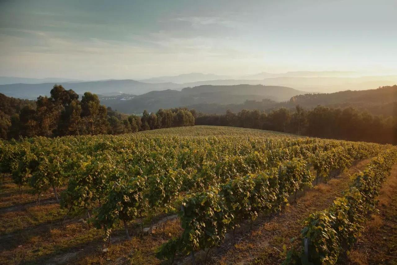 ELEXBURU LANDA Apartamentos Turisticos Rurales