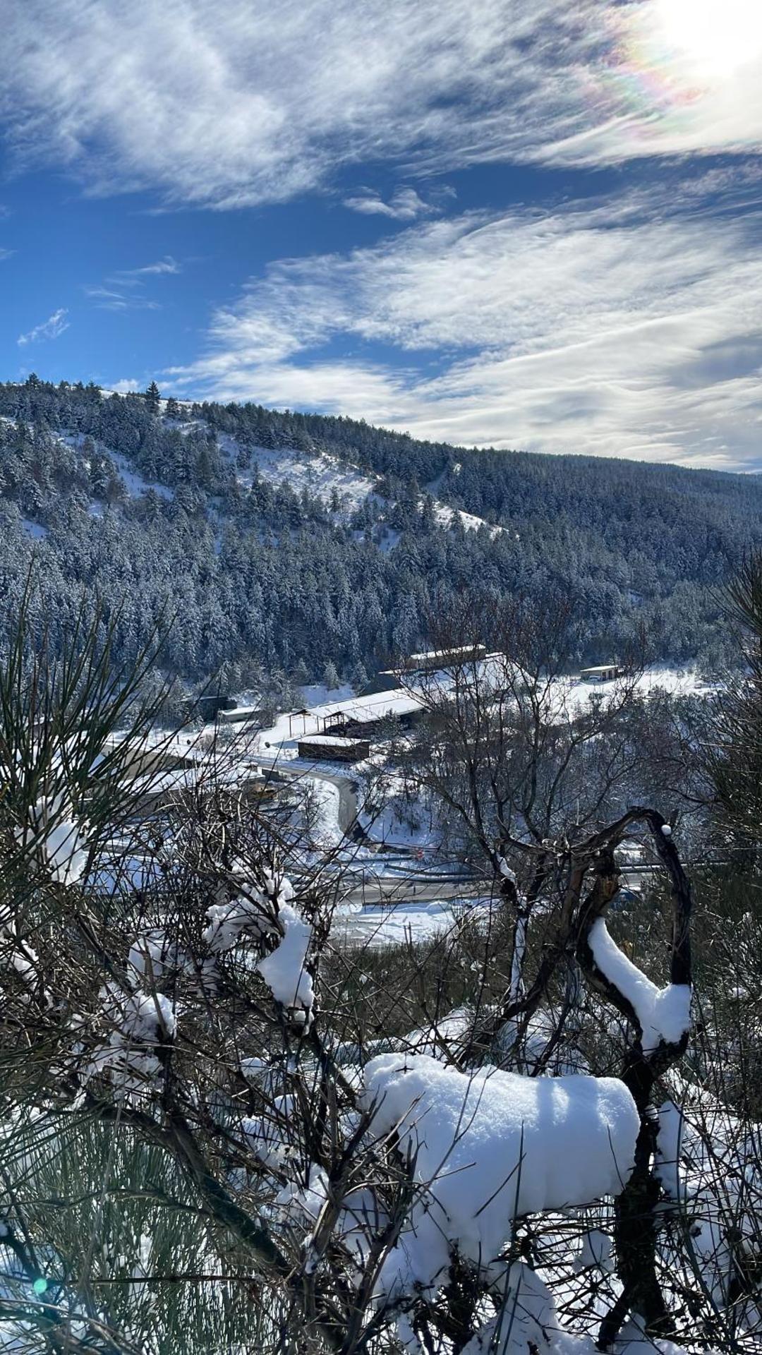 Piazzetta Del Forno - Monolocale con Soppalco