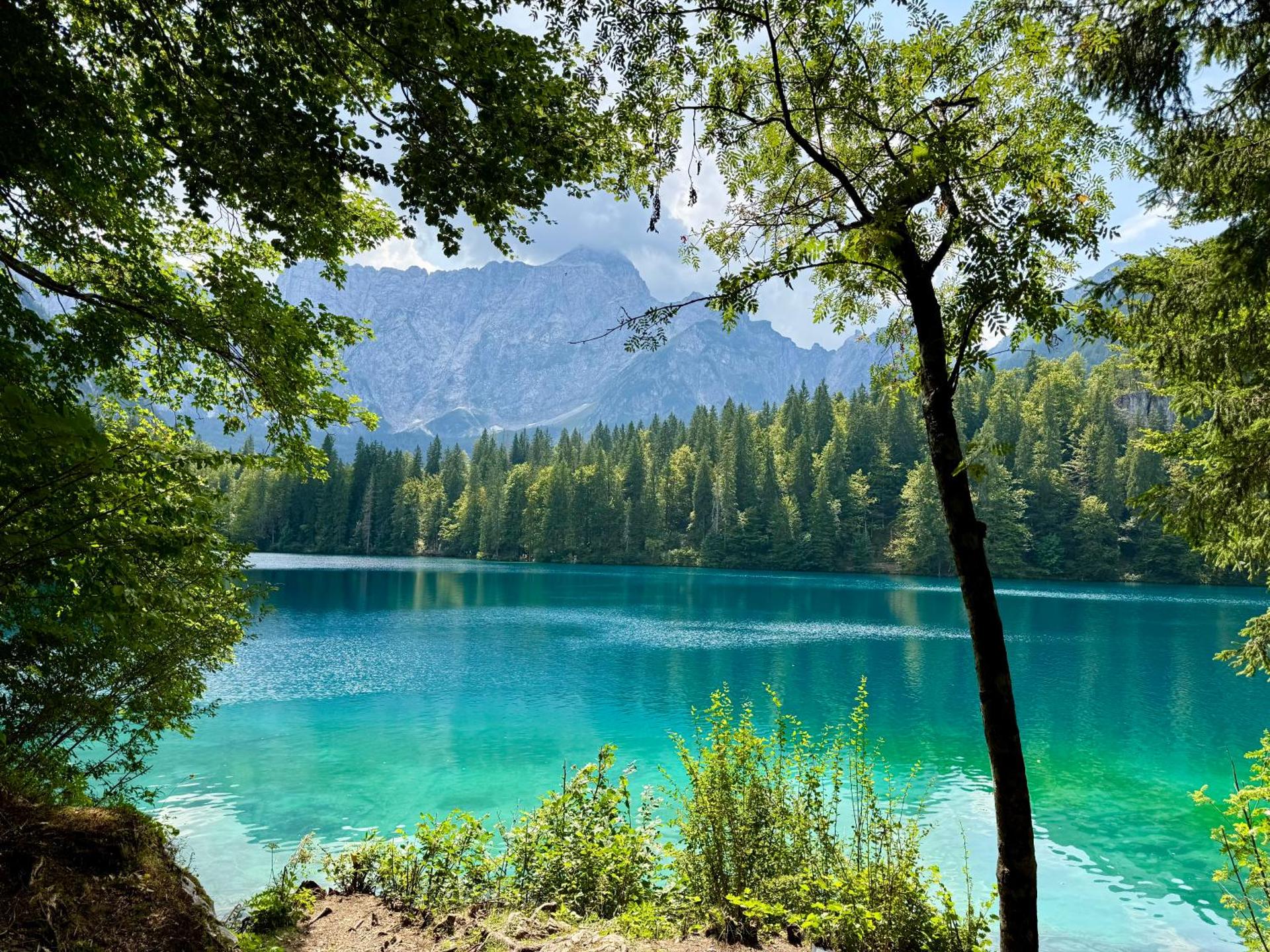 Cosy and Stylish Apartment near Faaker See