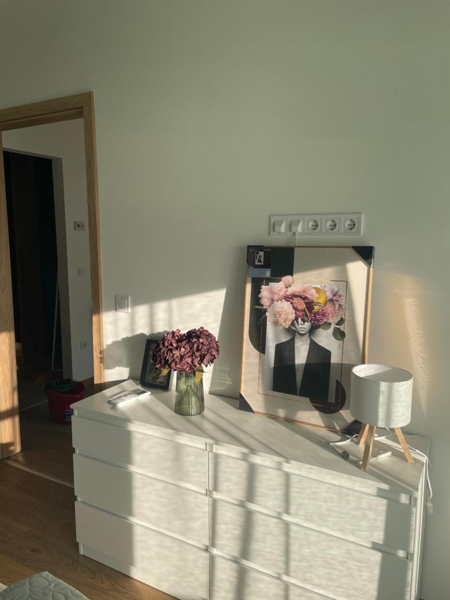 Evergreen Apartment Szeged