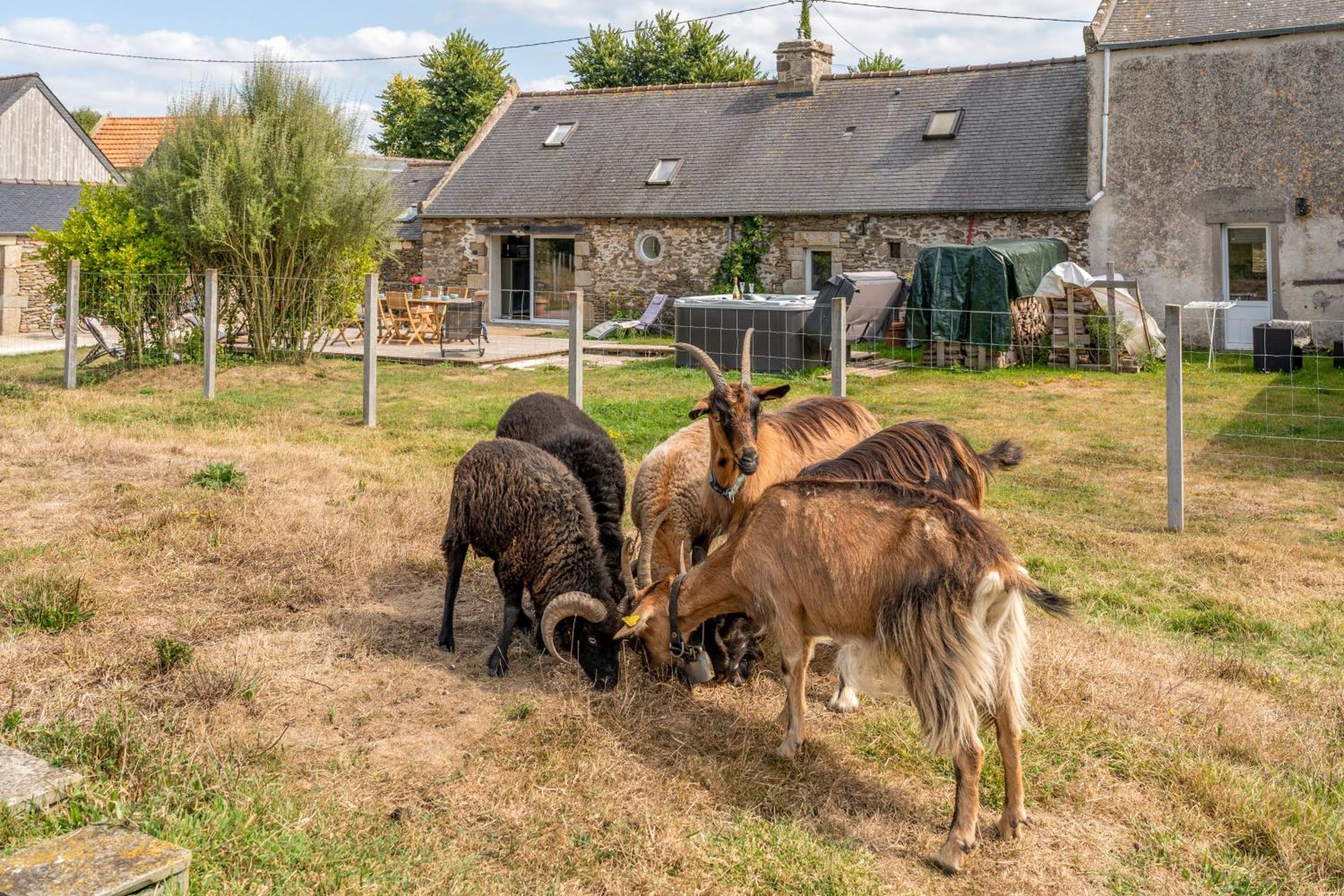 Le gîte de Saint Mathieu, longère pleine de charme au bout du monde ! jacuzzi extérieur vue sur la campagne, salle de billard