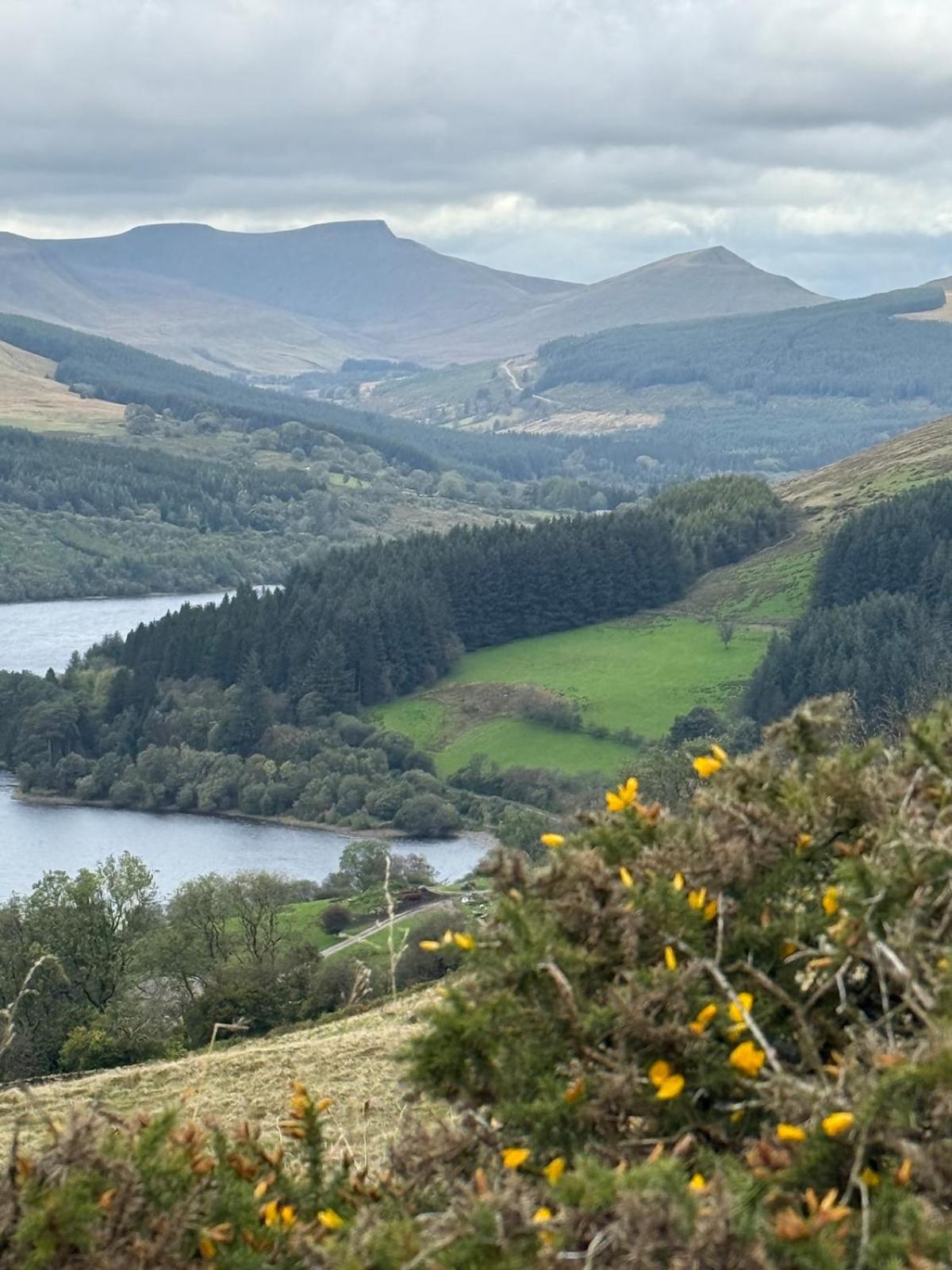 Bedwellty Lodge near BikePark Wales