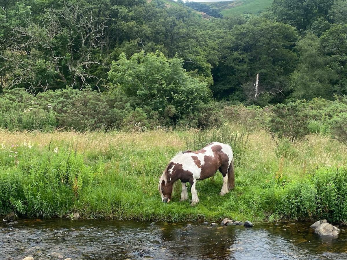 Bedwellty Lodge near BikePark Wales