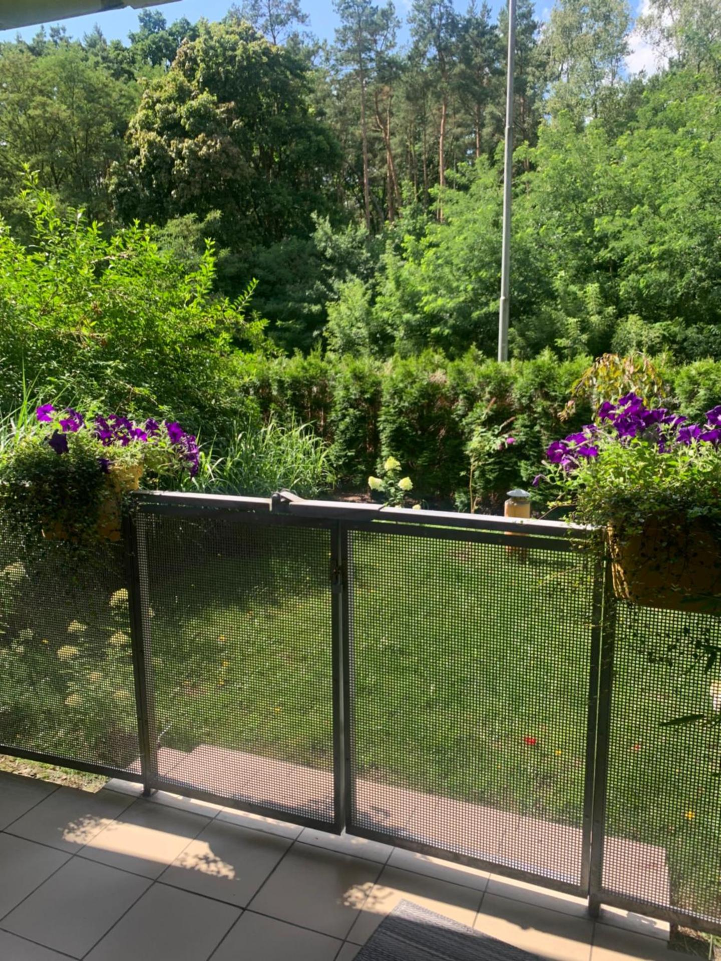 Apartament dwupokojowy