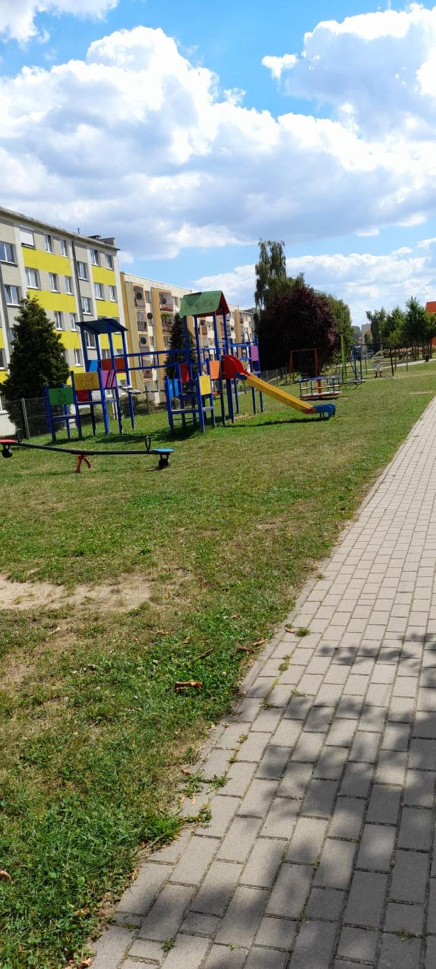 Apartament Biedronka