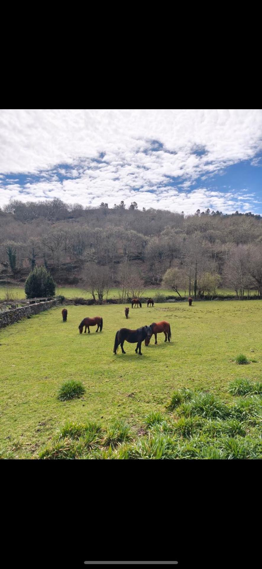 Casa Grande de Covas-Apartamentos Turísticos