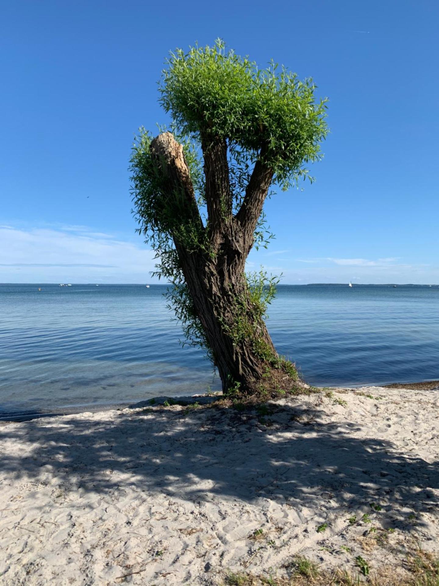 Altes Gutshaus Klink