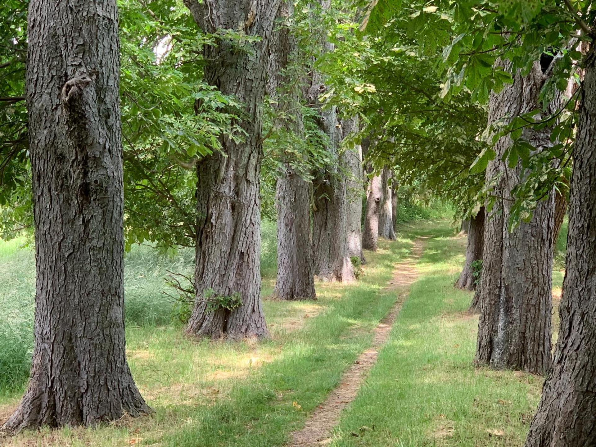 Altes Gutshaus Klink