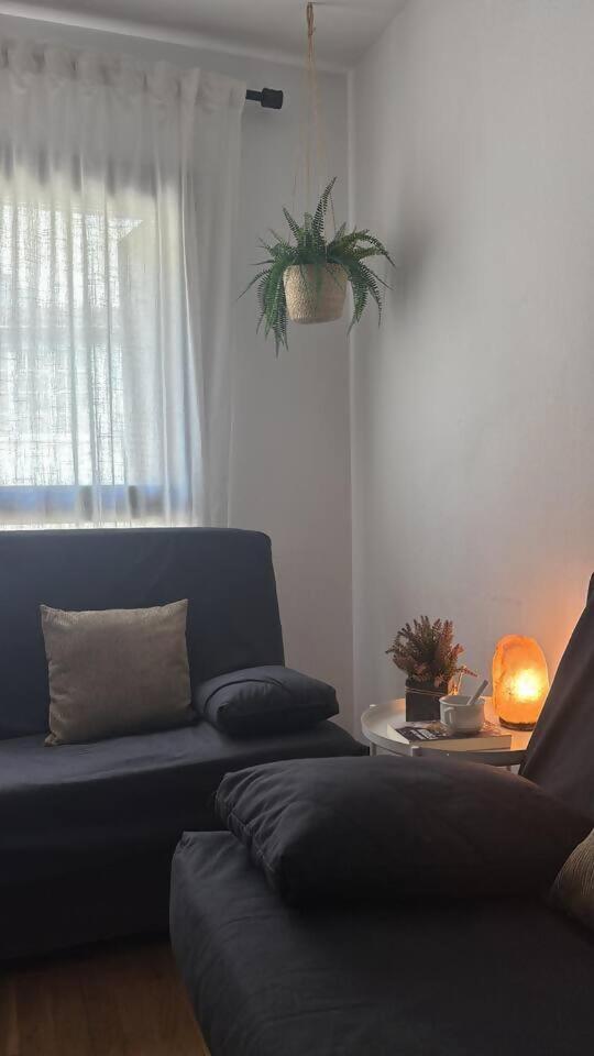 Los caballos Ordesa l Garaje l Céntrico