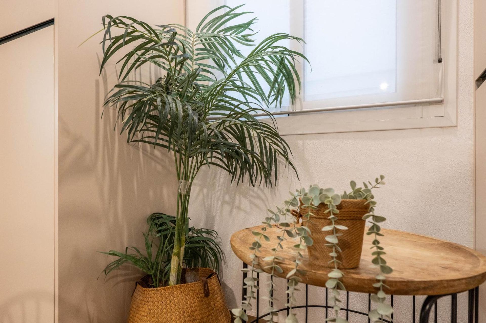 Charming Apartment in Heart of Malaga