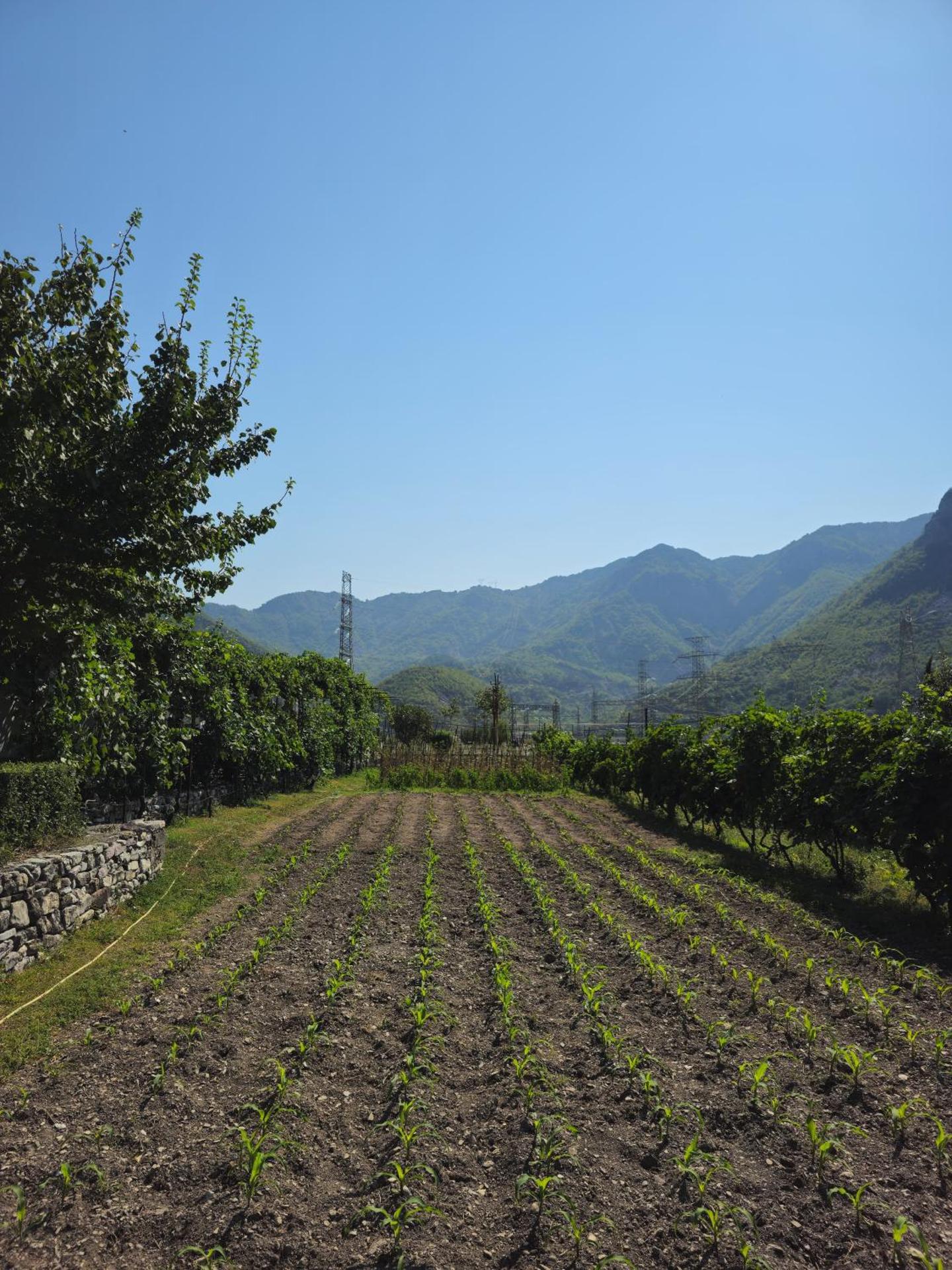 Guesthouse Camping the peaceful of Koman