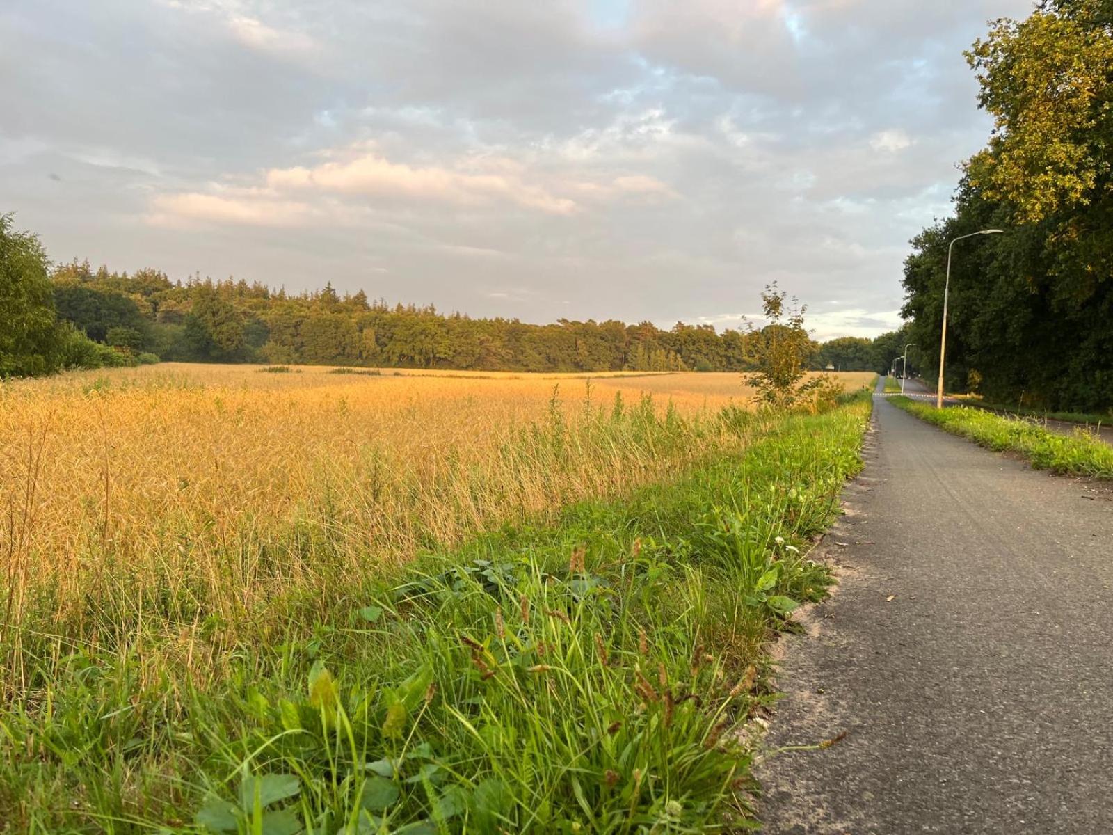 Vakantiehuisje in Lunteren aan de rand van het bos