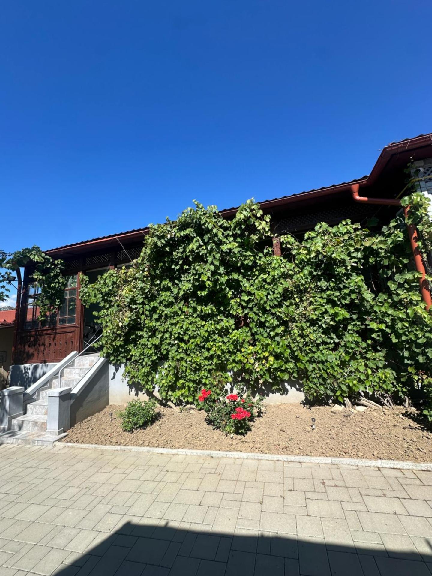 Apartament Salina Turda