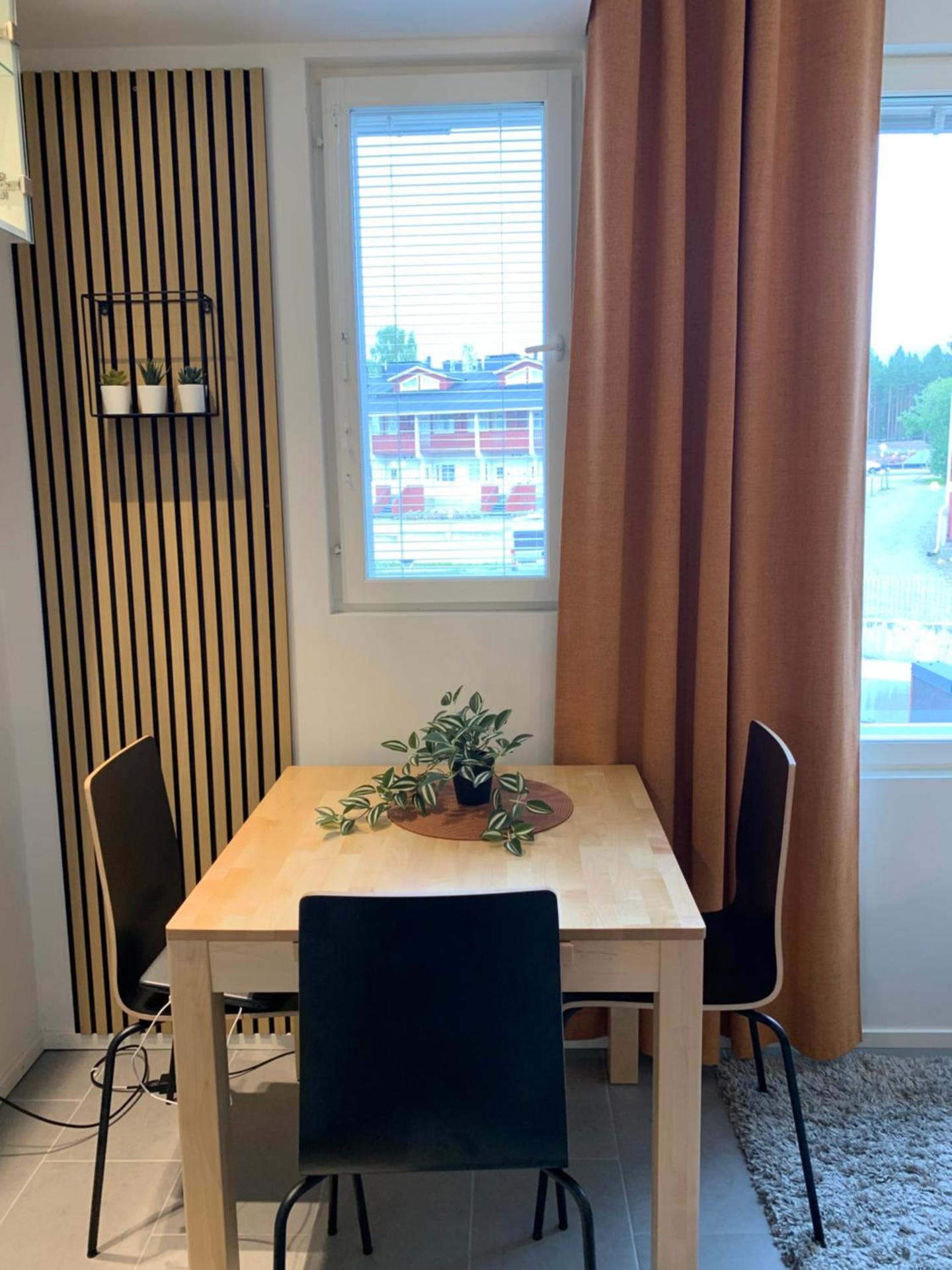 Centrum studio with sauna, Levi