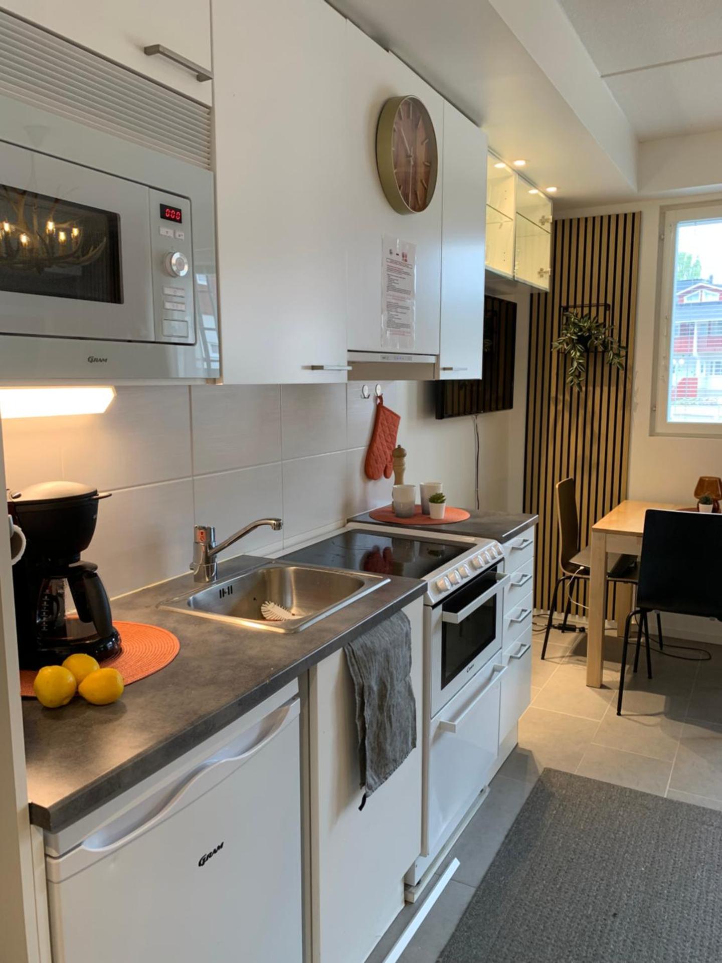 Centrum studio with sauna, Levi