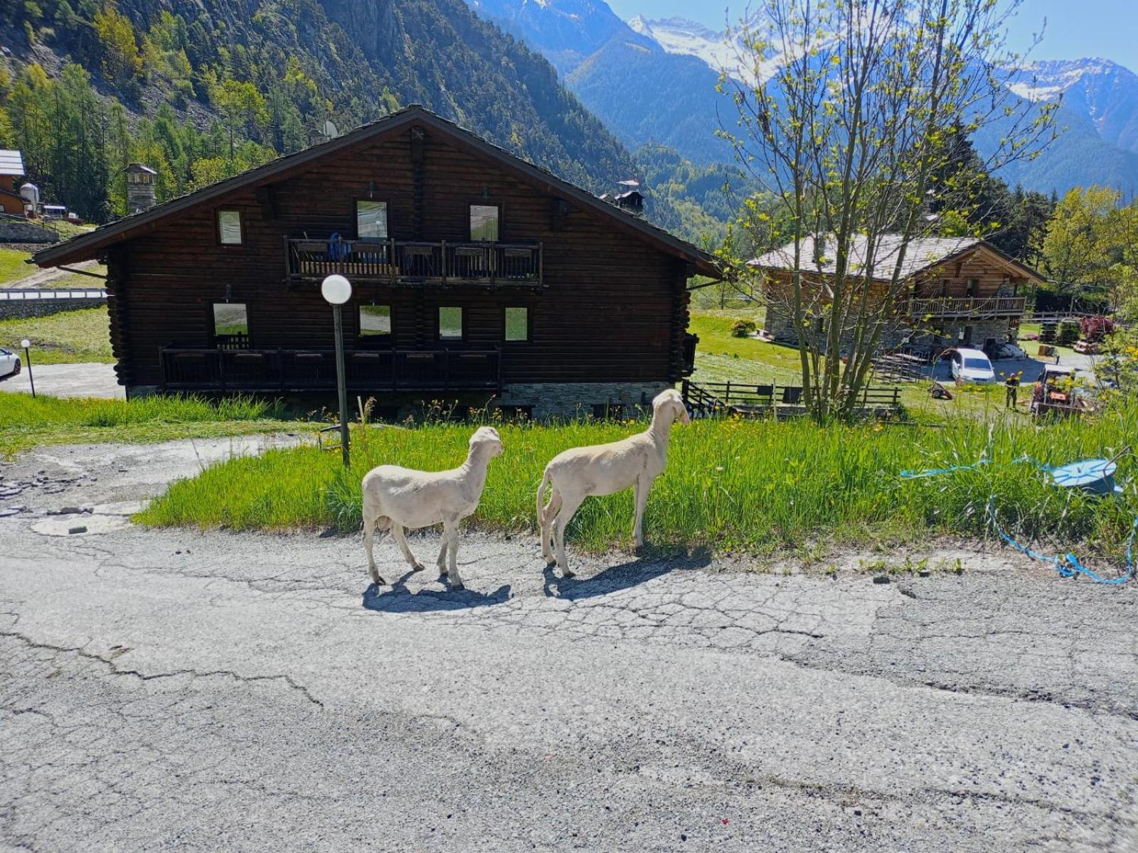 Agriturismo Les Hiboux
