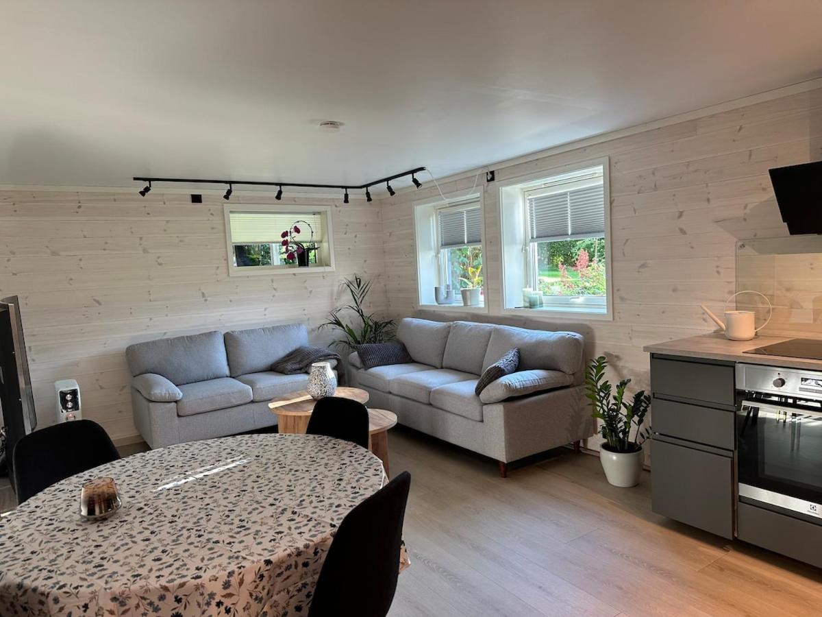 Bright and cozy apartment on Tau