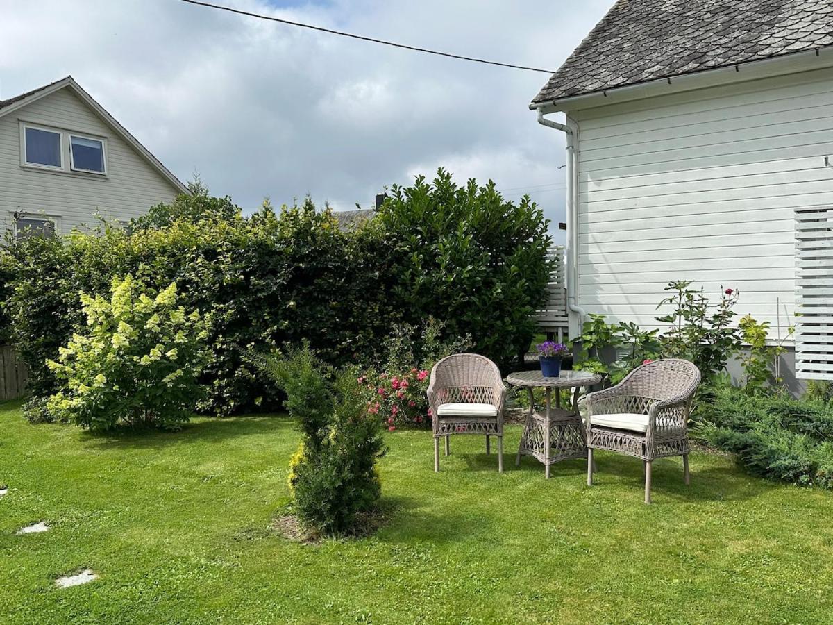 Bright and cozy apartment on Tau