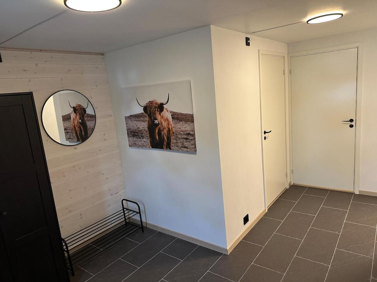 Bright and cozy apartment on Tau