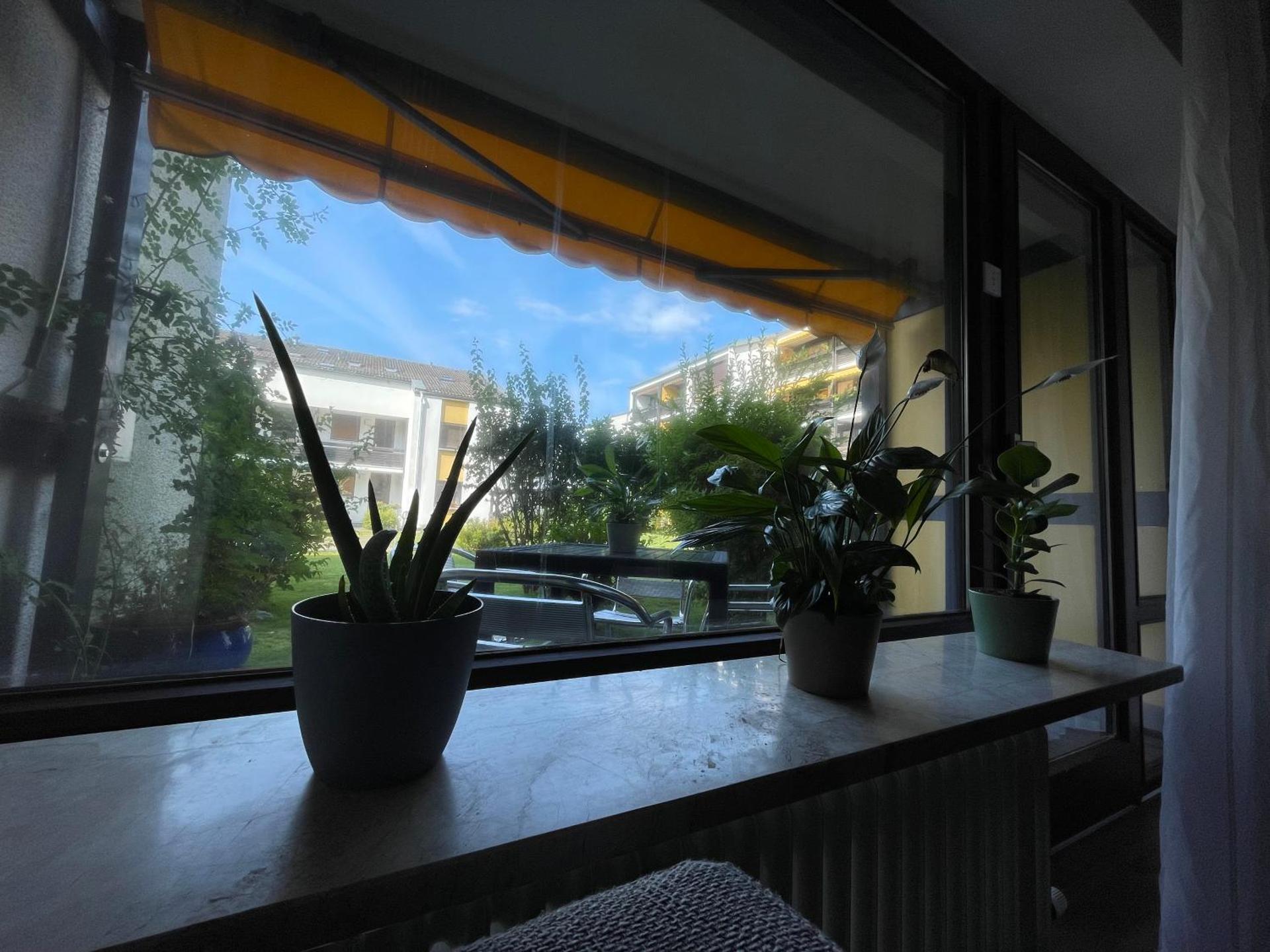 Inner courtyard view