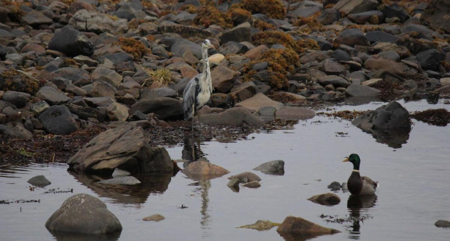 MacKenzies Bothy - SeaFront Cabin