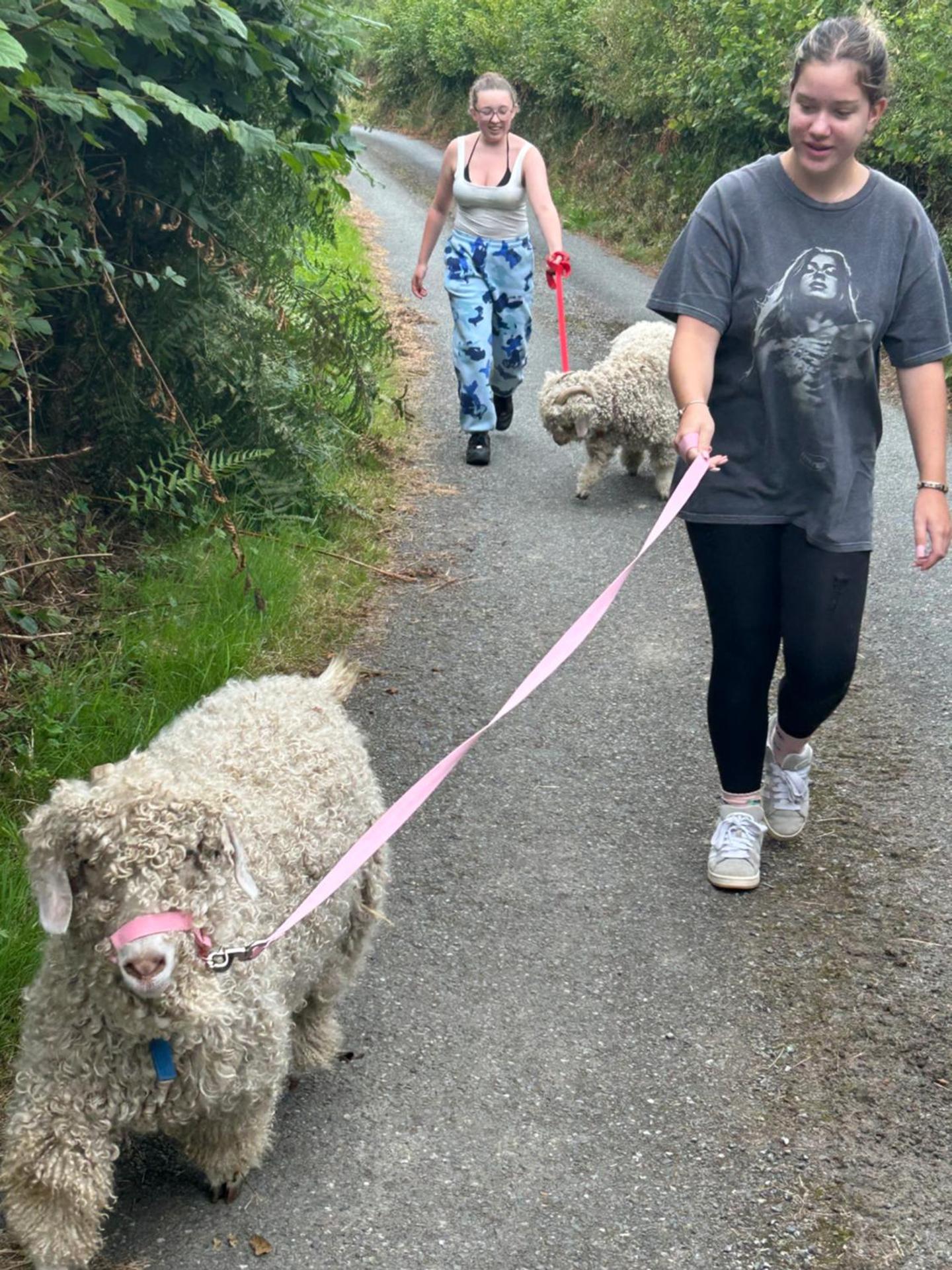 The Old Milking Parlour