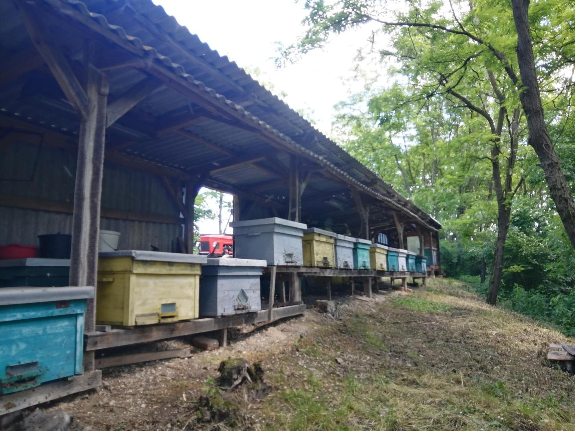 Őrségi Lápréti Vendégház