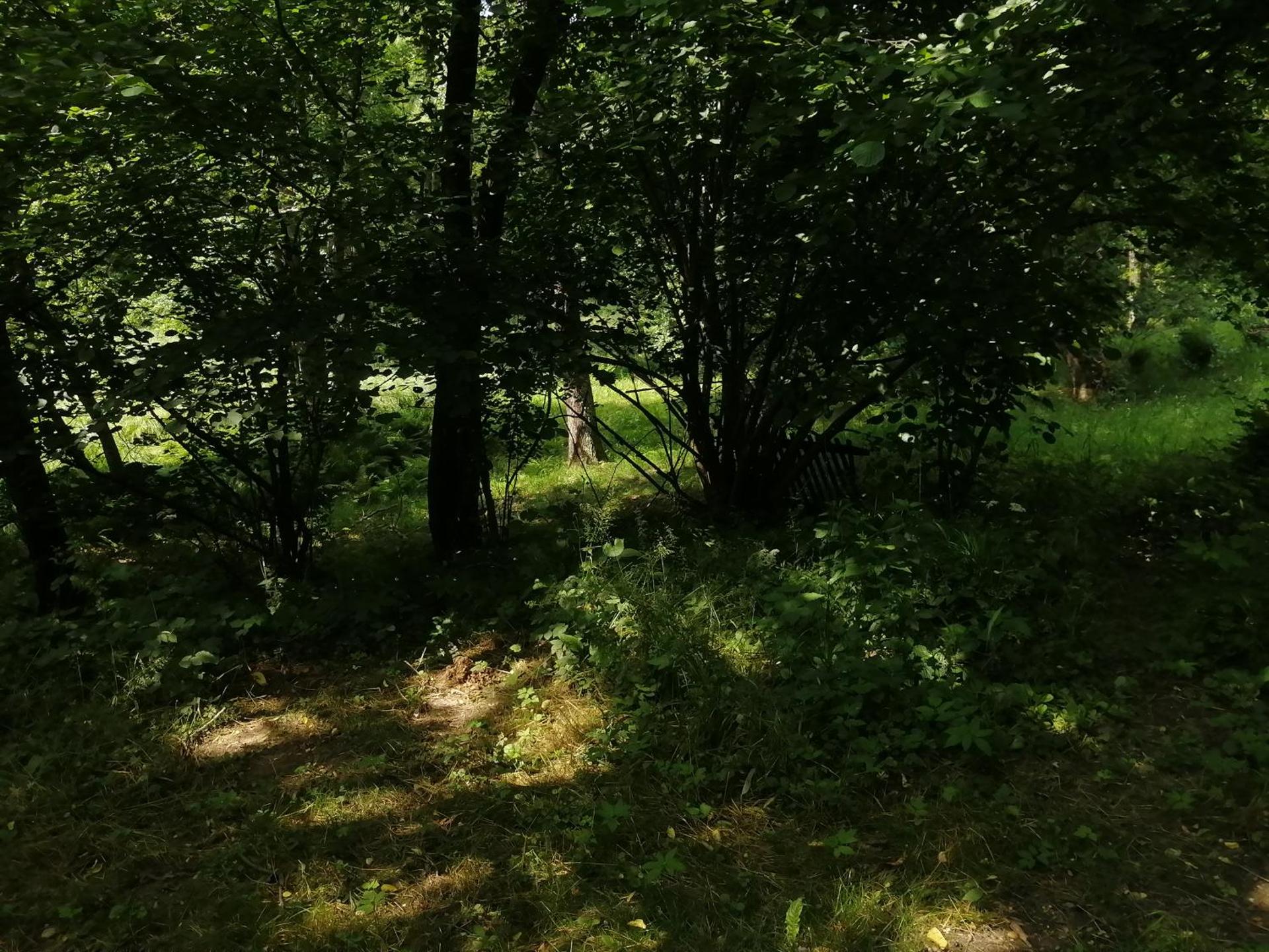 Őrségi Lápréti Vendégház