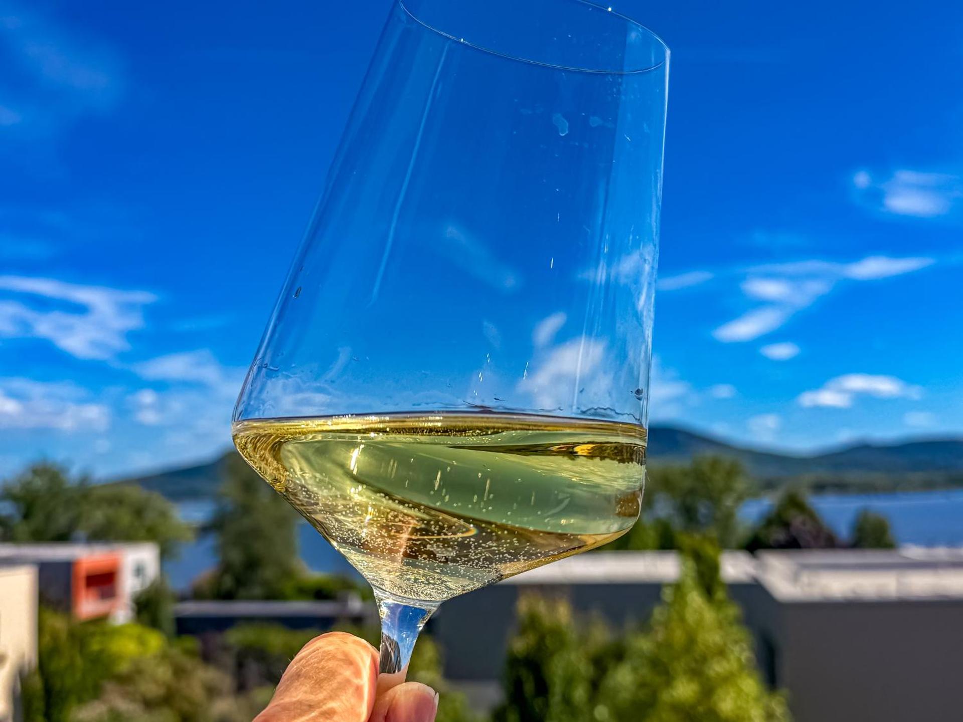 Apartmán s krásným výhledem na jezera a Pálavu